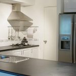 kitchen pest free