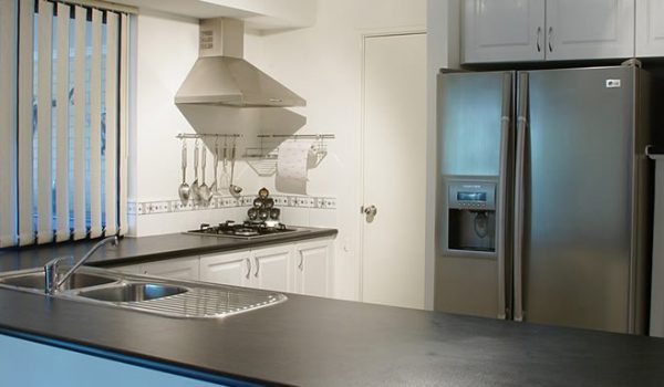 kitchen pest free