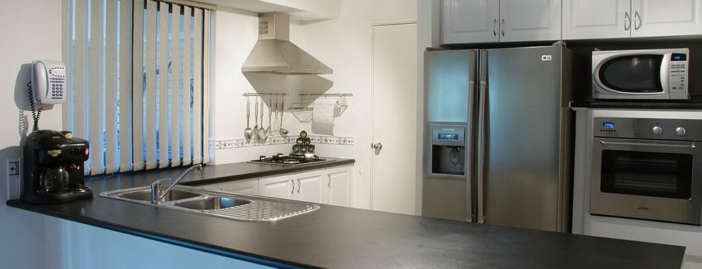 kitchen pest free
